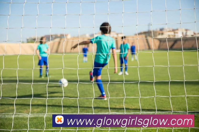 奖项证书